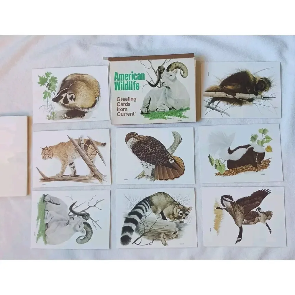 American Wildlife Greeting 1980 american
